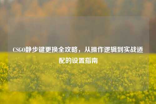CSGO静步键更换全攻略,从操作逻辑到实战适配的设置指南