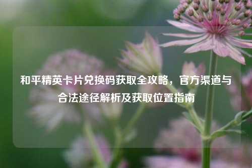 和平精英卡片兑换码获取全攻略，官方渠道与合法途径解析及获取位置指南