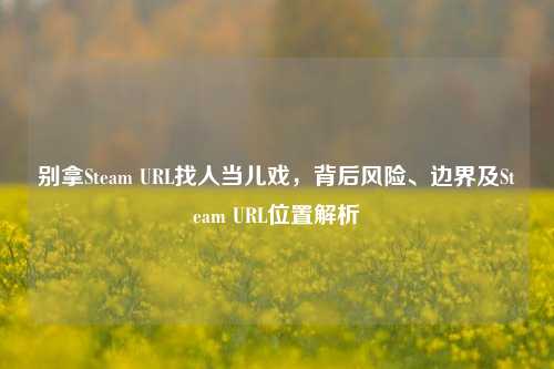 别拿Steam URL找人当儿戏，背后风险、边界及Steam URL位置解析