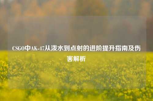 CSGO中AK-47从泼水到点射的进阶提升指南及伤害解析