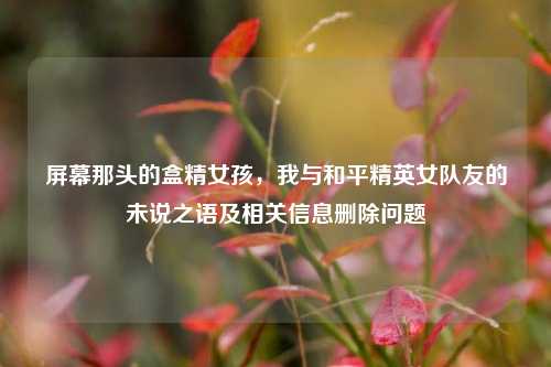屏幕那头的盒精女孩,我与和平精英女队友的未说之语及相关信息删除问题