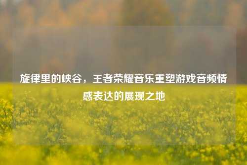 旋律里的峡谷，王者荣耀音乐重塑游戏音频情感表达的展现之地