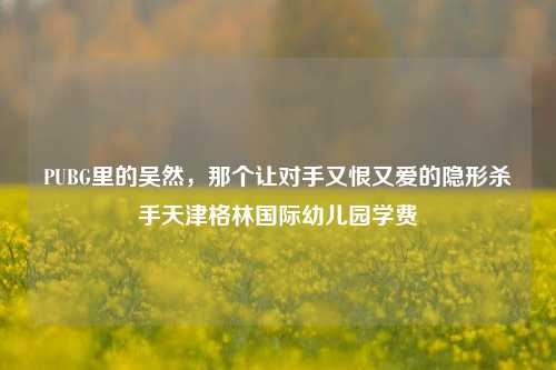 PUBG里的吴然,那个让对手又恨又爱的隐形杀手天津格林国际幼儿园学费