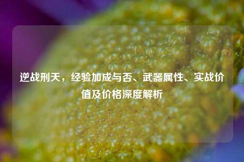 逆战刑天，经验加成与否、武器属性、实战价值及价格深度解析