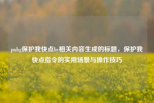 pubg保护我快点by相关内容生成的标题，保护我快点指令的实用场景与操作技巧