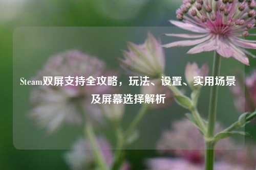 Steam双屏支持全攻略,玩法、设置、实用场景及屏幕选择解析