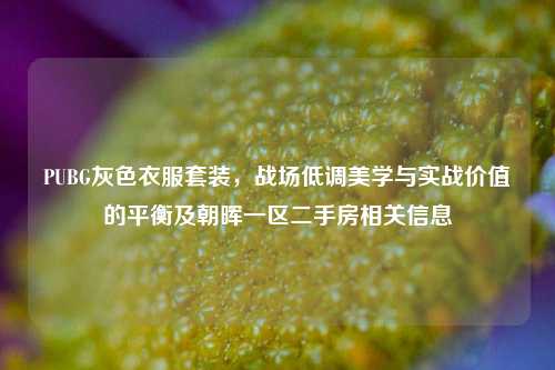 PUBG灰色衣服套装，战场低调美学与实战价值的平衡及朝晖一区二手房相关信息