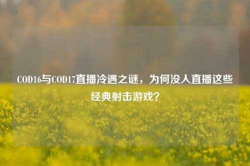 COD16与COD17直播冷遇之谜，为何没人直播这些经典射击游戏？