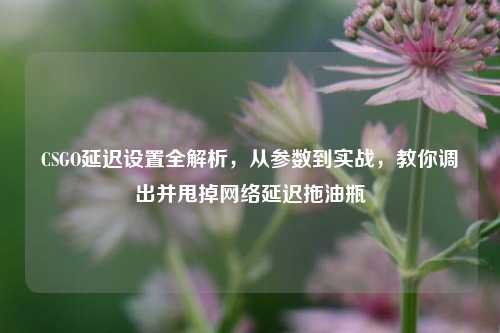 CSGO延迟设置全解析,从参数到实战,教你调出并甩掉网络延迟拖油瓶
