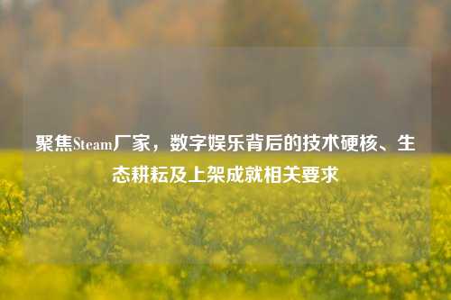 聚焦Steam厂家,数字娱乐背后的技术硬核、生态耕耘及上架成就相关要求