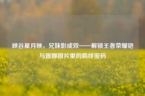 峡谷星月映，兄妹影成双——解锁王者荣耀铠与露娜图片里的羁绊密码
