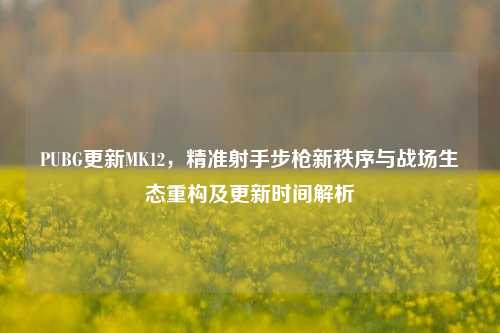 PUBG更新MK12,精准射手步枪新秩序与战场生态重构及更新时间解析