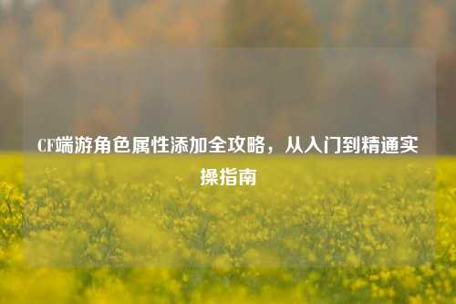 CF端游角色属性添加全攻略,从入门到精通实操指南