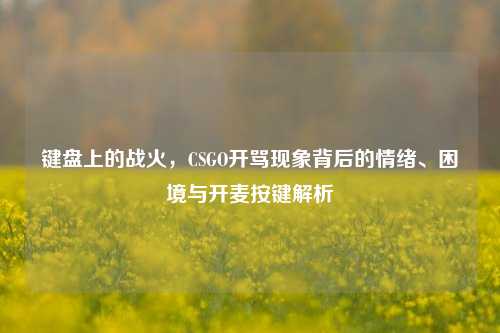 键盘上的战火，CSGO开骂现象背后的情绪、困境与开麦按键解析
