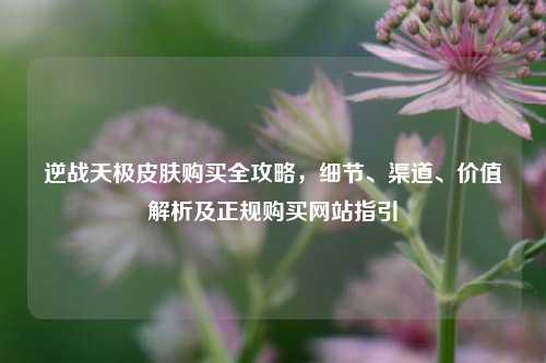 逆战天极皮肤购买全攻略，细节、渠道、价值解析及正规购买网站指引
