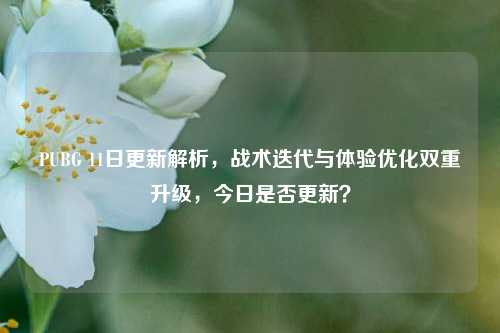 PUBG 11日更新解析，战术迭代与体验优化双重升级，今日是否更新？