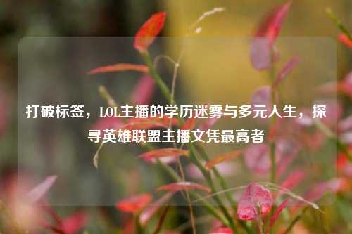 打破标签，LOL主播的学历迷雾与多元人生，探寻英雄联盟主播文凭最高者