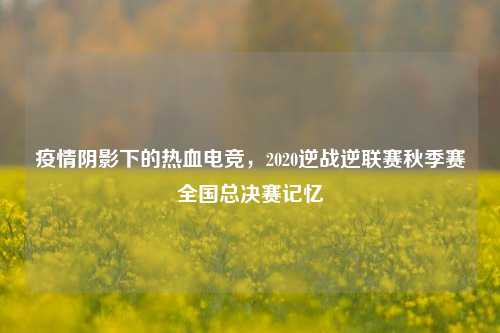 疫情阴影下的热血电竞,2020逆战逆联赛秋季赛全国总决赛记忆