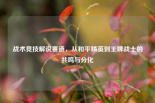 战术竞技解说赛道，从和平精英到王牌战士的共鸣与分化