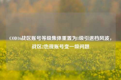 COD16战区账号等级集体重置为1级引退档风波，战区2也现账号变一级问题