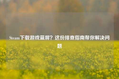 Steam下载游戏蓝屏？这份排查指南帮你解决问题
