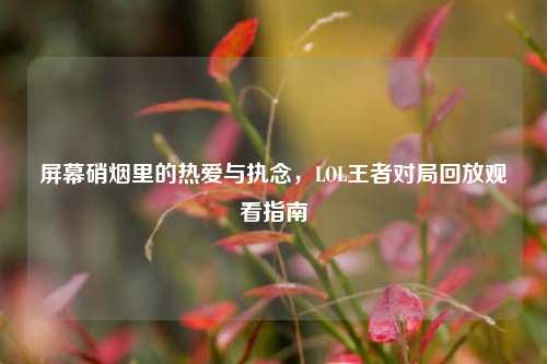 屏幕硝烟里的热爱与执念，LOL王者对局回放观看指南