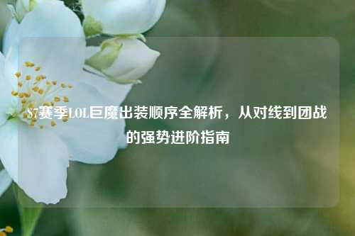 S7赛季LOL巨魔出装顺序全解析，从对线到团战的强势进阶指南