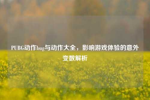 PUBG动作bug与动作大全,影响游戏体验的意外变数解析