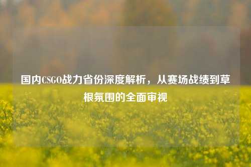 国内CSGO战力省份深度解析，从赛场战绩到草根氛围的全面审视