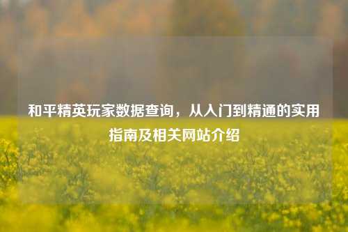 和平精英玩家数据查询，从入门到精通的实用指南及相关网站介绍