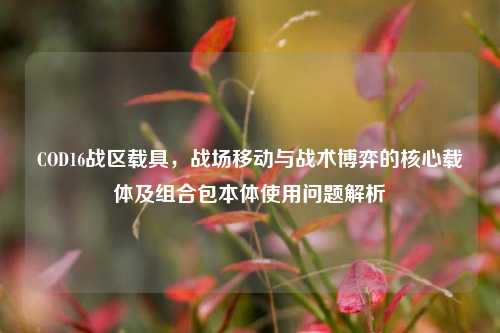 COD16战区载具，战场移动与战术博弈的核心载体及组合包本体使用问题解析