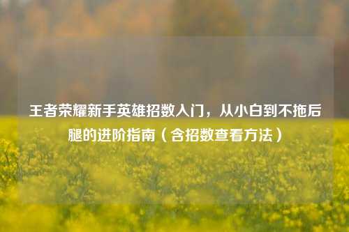 王者荣耀新手英雄招数入门，从小白到不拖后腿的进阶指南（含招数查看方法）