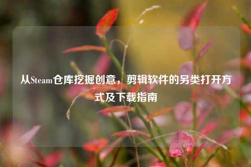 从Steam仓库挖掘创意，剪辑软件的另类打开方式及下载指南