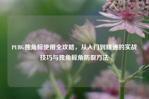 PUBG独角鲸使用全攻略，从入门到精通的实战技巧与独角鲸角防裂方法
