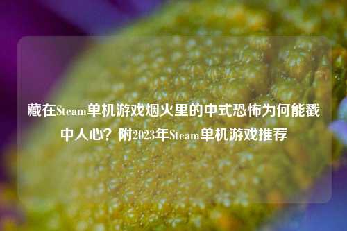 藏在Steam单机游戏烟火里的中式恐怖为何能戳中人心？附2023年Steam单机游戏推荐