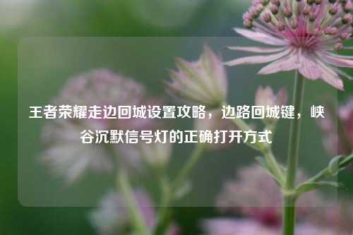 王者荣耀走边回城设置攻略，边路回城键，峡谷沉默信号灯的正确打开方式