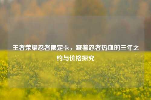 王者荣耀忍者限定卡，藏着忍者热血的三年之约与价格探究