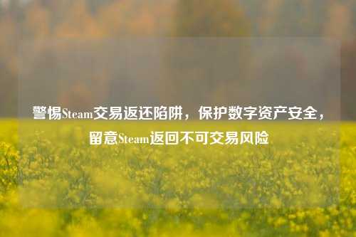 警惕Steam交易返还陷阱，保护数字资产安全，留意Steam返回不可交易风险
