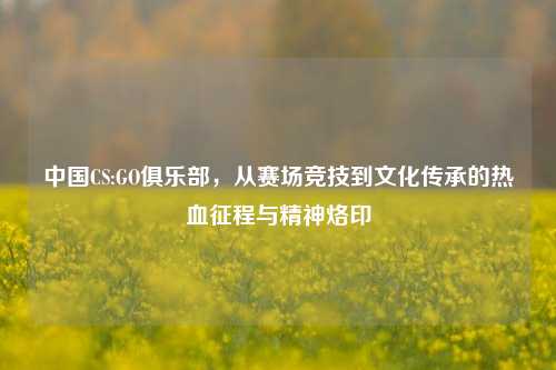 中国CS:GO俱乐部，从赛场竞技到文化传承的热血征程与精神烙印