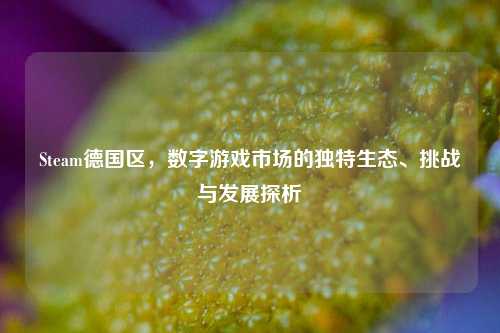 Steam德国区，数字游戏市场的独特生态、挑战与发展探析