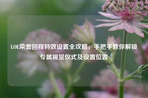 LOL荣誉回程特效设置全攻略，手把手教你解锁专属视觉仪式及设置位置