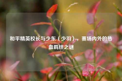 和平精英校长与少东（少羽），赛场内外的热血羁绊之谜
