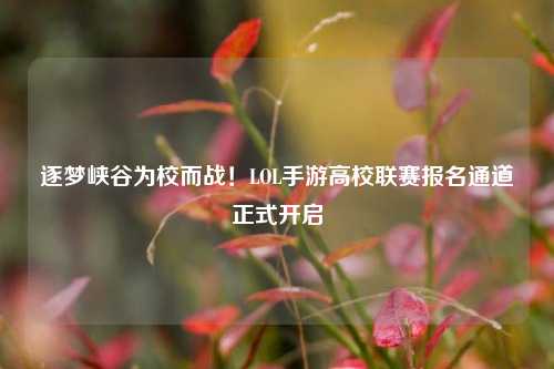 逐梦峡谷为校而战！LOL手游高校联赛报名通道正式开启