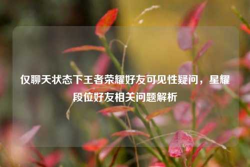 仅聊天状态下王者荣耀好友可见性疑问，星耀段位好友相关问题解析
