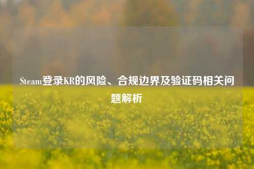 Steam登录KR的风险、合规边界及验证码相关问题解析