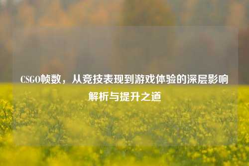 CSGO帧数,从竞技表现到游戏体验的深层影响解析与提升之道