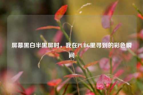 屏幕黑白半黑屏时，我在PUBG里寻到的彩色瞬间
