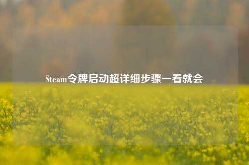 Steam令牌启动超详细步骤一看就会