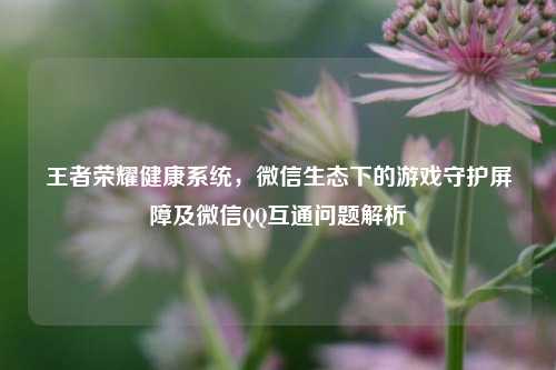 王者荣耀健康系统,微信生态下的游戏守护屏障及微信QQ互通问题解析