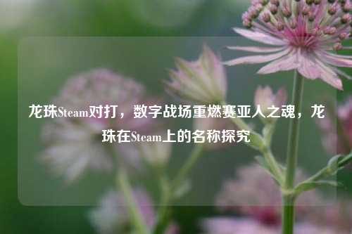 龙珠Steam对打,数字战场重燃赛亚人之魂,龙珠在Steam上的名称探究